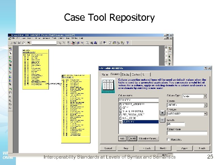 Case Tool Repository Interoperability Standards at Levels of Syntax and Semantics 25 