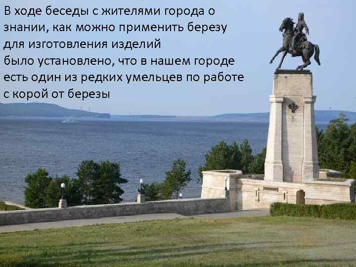 В ходе беседы с жителями города о знании, как можно применить березу . для
