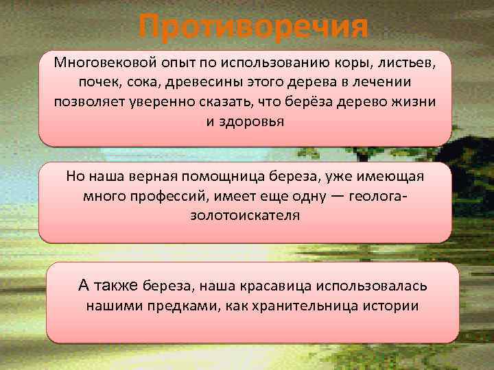 Противоречия Многовековой опыт по использованию коры, листьев, почек, сока, древесины этого дерева в лечении