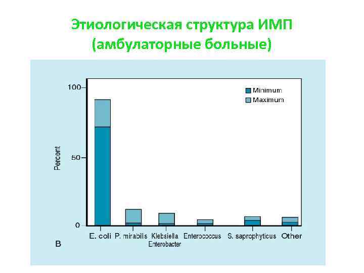 Этиологическая структура ИМП (амбулаторные больные) 