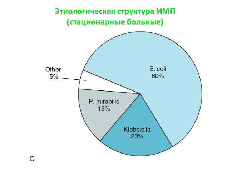 Этиологическая структура ИМП (стационарные больные) 