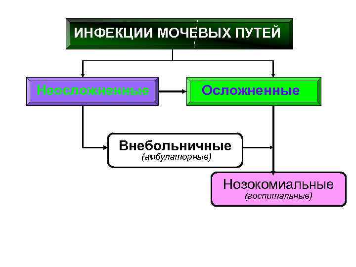 ИНФЕКЦИИ МОЧЕВЫХ ПУТЕЙ Неосложненные Осложненные Внебольничные (амбулаторные) Нозокомиальные (госпитальные) 