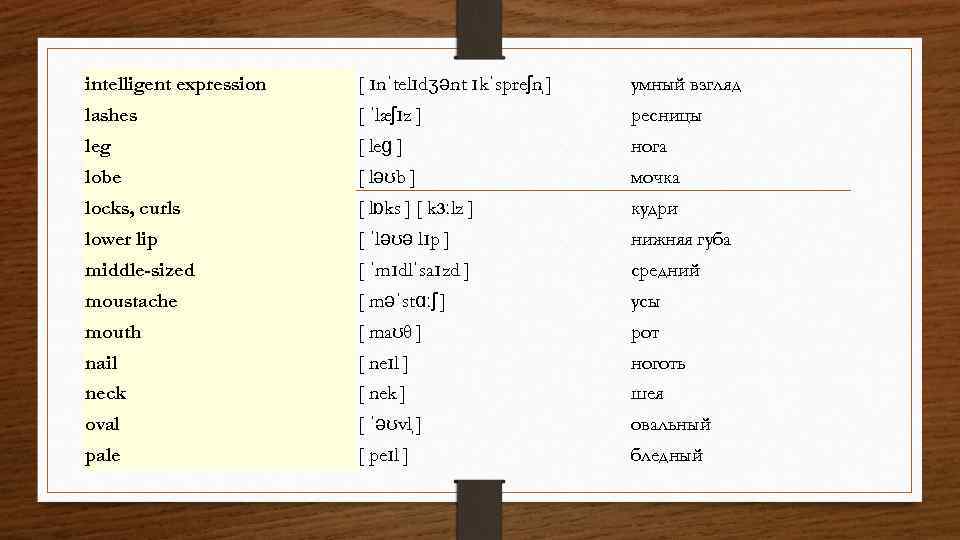 intelligent expression [ ɪnˈtelɪdʒənt ɪkˈspreʃn ] умный взгляд lashes [ ˈlæʃɪz ] ресницы leg