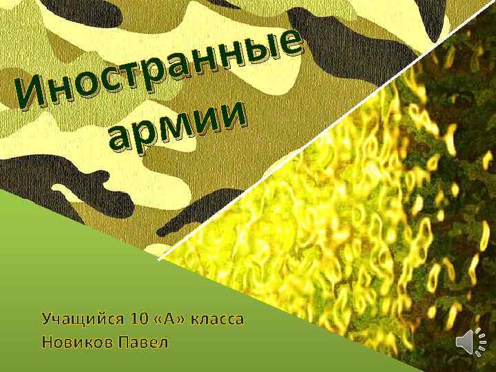 ые нн ра ост Ин ии рм а Учащийся 10 «А» класса Новиков Павел