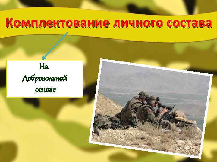 Комплектование личного состава На Добровольной основе 