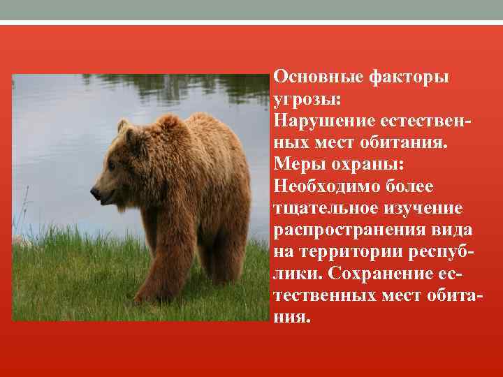 Основные факторы угрозы: Нарушение естественных мест обитания. Меры охраны: Необходимо более тщательное изучение распространения