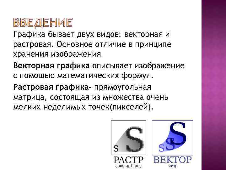 В каком виде векторные изображения хранятся в памяти компьютера