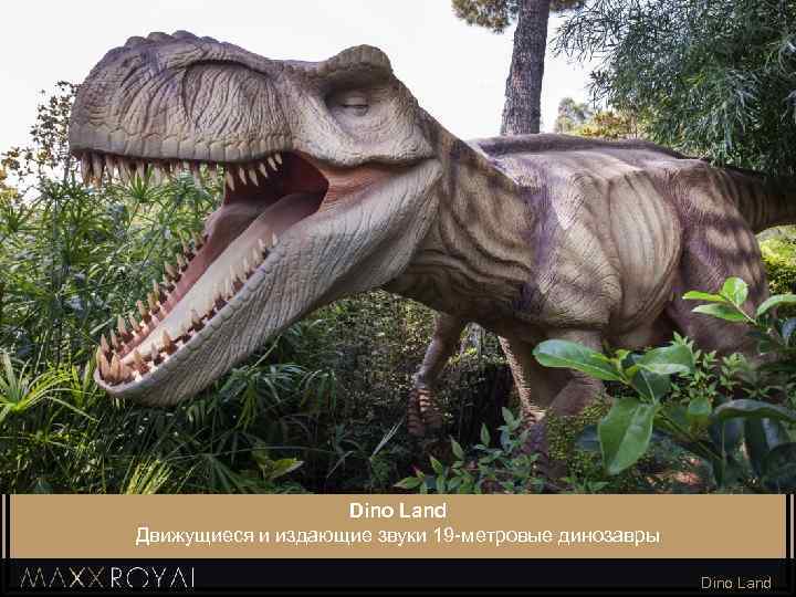 Dino Land Движущиеся и издающие звуки 19 -метровые динозавры Dino Land 