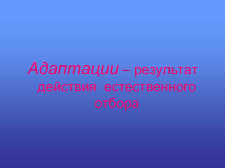 Адаптации – результат действия естественного отбора 