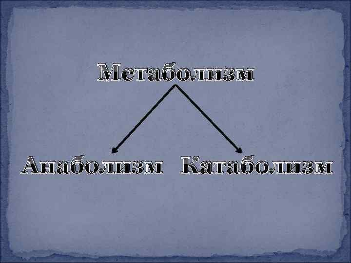 Метаболизм Анаболизм Катаболизм 