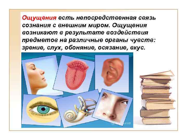 Ощущения есть непосредственная связь сознания с внешним миром. Ощущения возникают в результате воздействия предметов