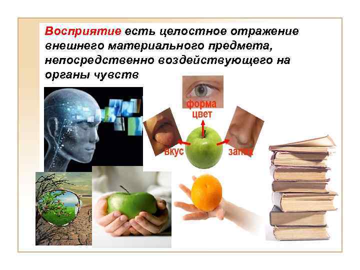 Восприятие есть целостное отражение внешнего материального предмета, непосредственно воздействующего на органы чувств 