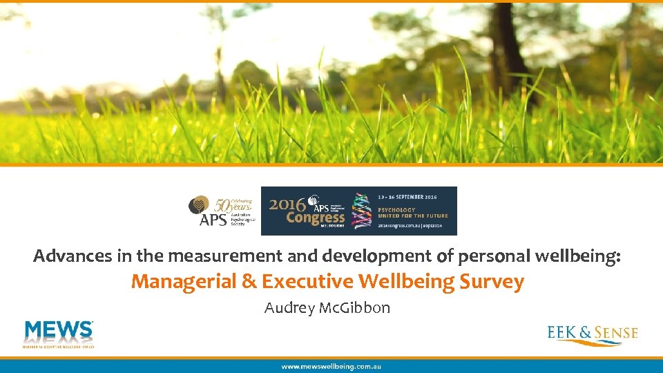 Advances in the measurement and development of personal wellbeing: Managerial & Executive Wellbeing Survey