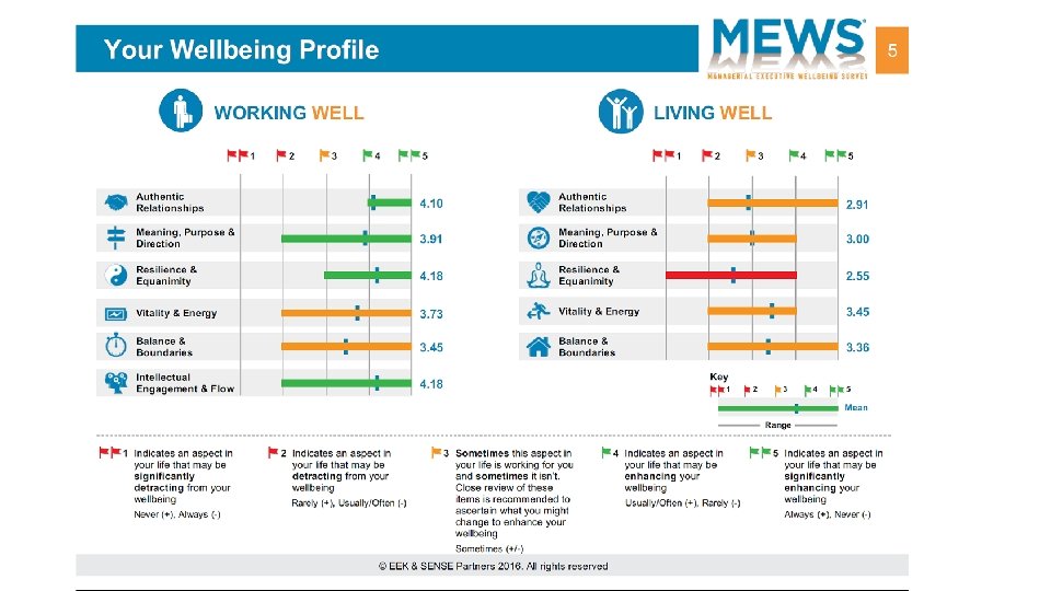 Sample Wellbeing Profile (Beta Version 2015) 