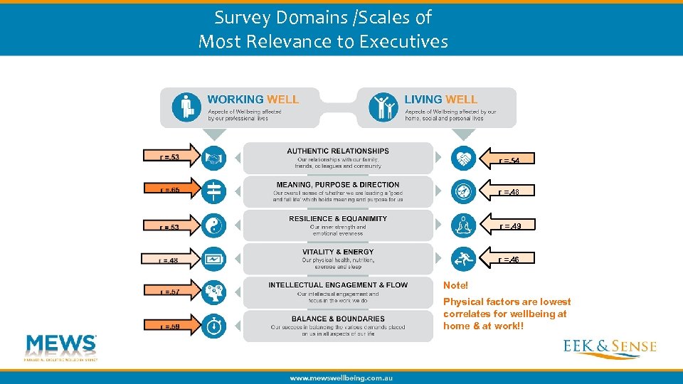Survey Domains /Scales of Most Relevance to Executives r =. 54 r =. 48