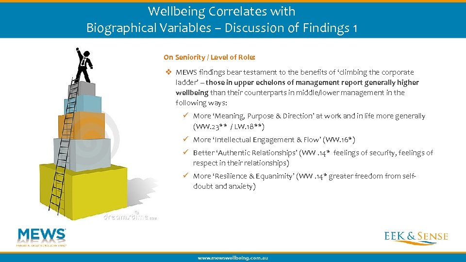 Wellbeing Correlates with Biographical Variables – Discussion of Findings 1 On Seniority / Level