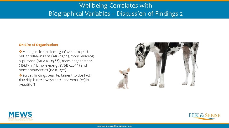 Wellbeing Correlates with Biographical Variables – Discussion of Findings 2 On Size of Organisation: