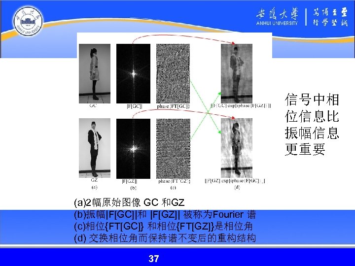 信号中相 位信息比 振幅信息 更重要 (a)2幅原始图像 GC 和GZ (b)振幅|F[GC]|和 |F[GZ]| 被称为Fourier 谱 (c)相位{FT[GC]} 和相位{FT[GZ]}是相位角 (d)