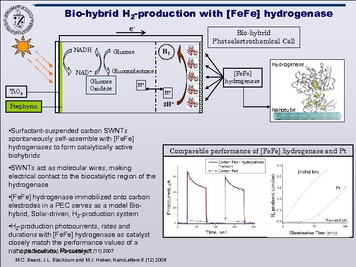 Bio-hybrid H 2 -production with [Fe. Fe] hydrogenase e. NADH Bio-hybrid Photoelectrochemical Cell H