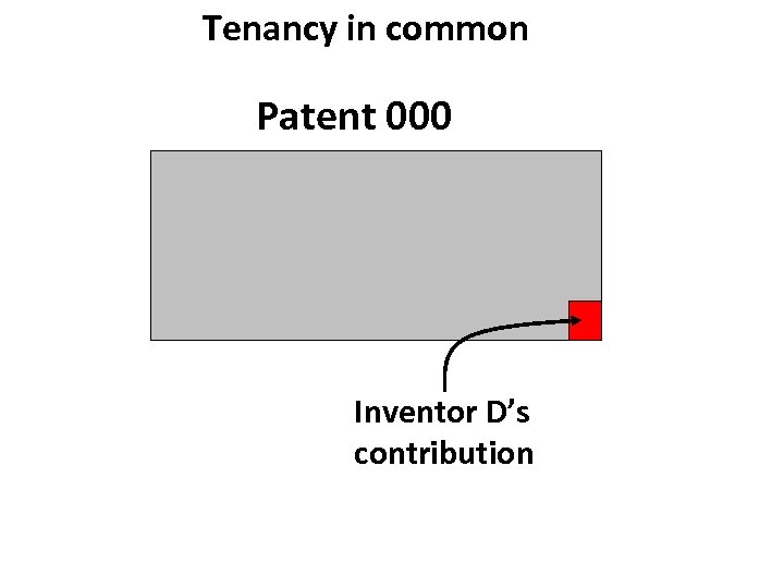 Tenancy in common Patent 000 Inventor D’s contribution 