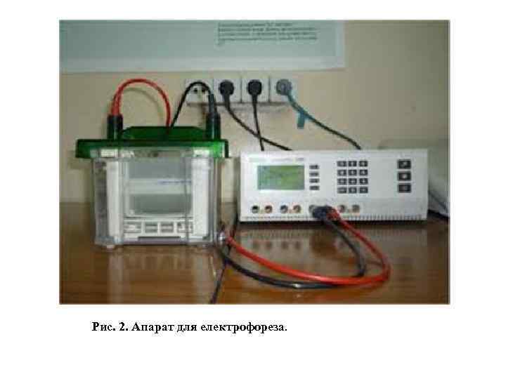 Рис. 2. Апарат для електрофореза. 