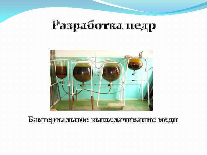 Разработка недр Бактериальное выщелачивание меди 