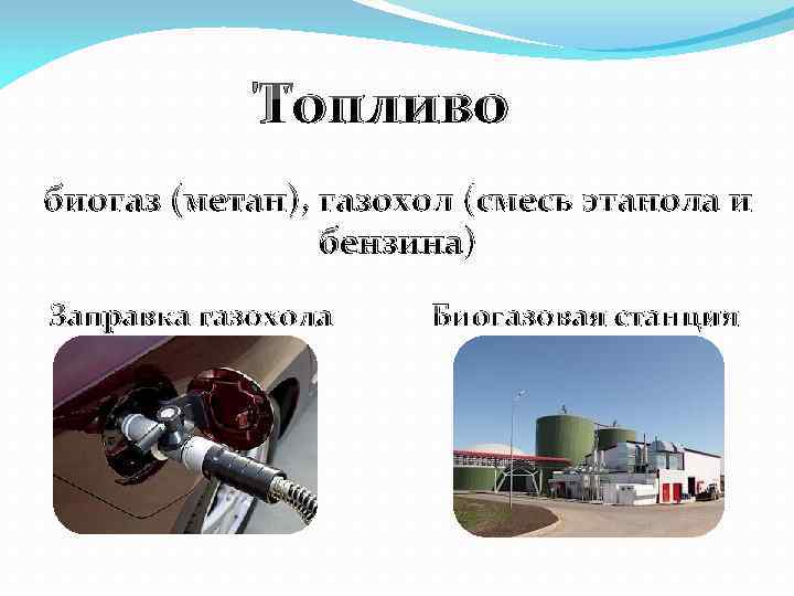 Топливо биогаз (метан), газохол (смесь этанола и бензина) Заправка газохола Биогазовая станция 