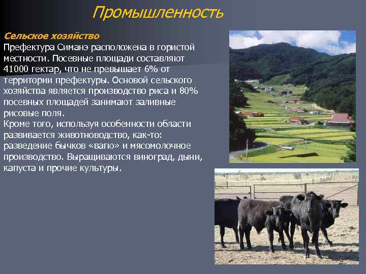 Промышленность Сельское хозяйство Префектура Симанэ расположена в гористой местности. Посевные площади составляют 41000 гектар,