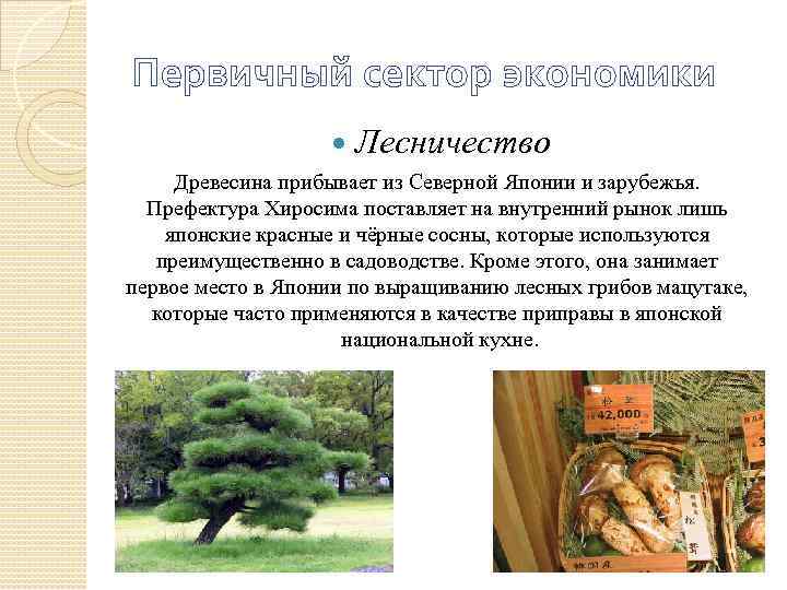 Первичный сектор экономики Лесничество Древесина прибывает из Северной Японии и зарубежья. Префектура Хиросима поставляет