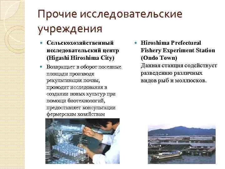 Прочие исследовательские учреждения Сельскохозяйственный исследовательский центр (Higashi Hiroshima City) Возвращает в оборот посевные площади