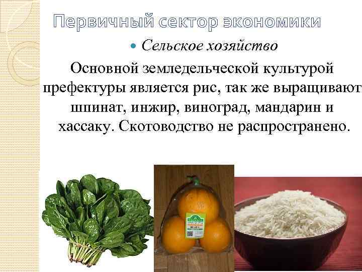 Первичный сектор экономики Сельское хозяйство Основной земледельческой культурой префектуры является рис, так же выращивают