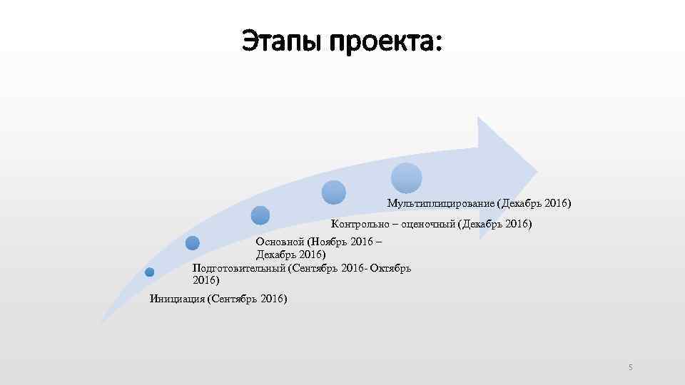 Этапы проекта: Мультиплицирование (Декабрь 2016) Контрольно – оценочный (Декабрь 2016) Основной (Ноябрь 2016 –