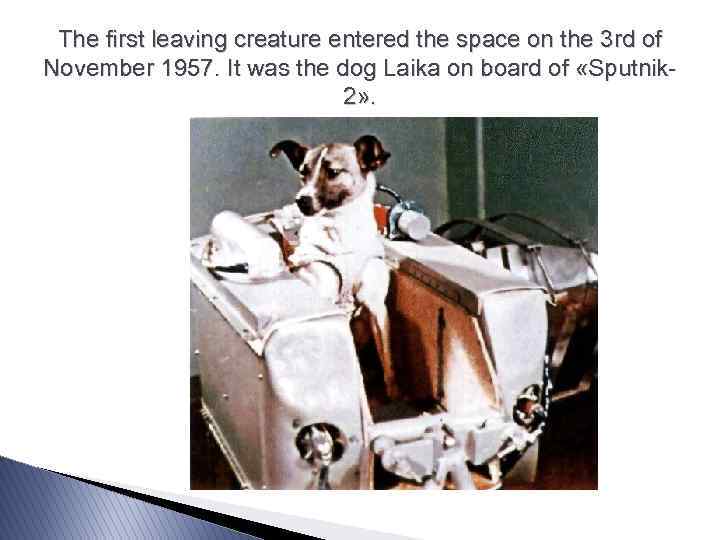 The first leaving creature entered the space on the 3 rd of November 1957.