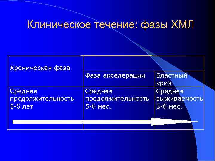 Клиническое течение: фазы ХМЛ Хроническая фаза Средняя продолжительность 5 -6 лет Фаза акселерации Средняя
