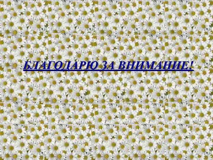 БЛАГОДАРЮ ЗА ВНИМАНИЕ! 