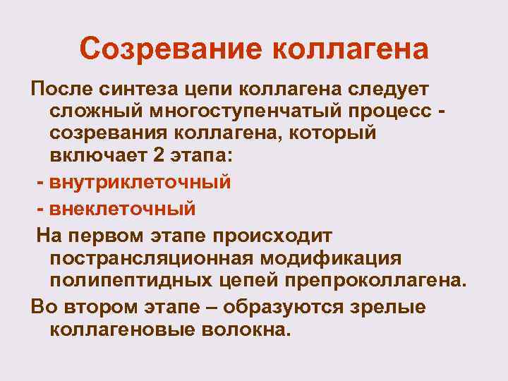 Созревание коллагена После синтеза цепи коллагена следует сложный многоступенчатый процесс - созревания коллагена, который