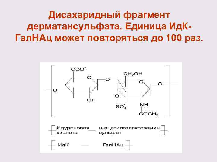 Дисахаридный фрагмент дерматансульфата. Единица Ид. К- Гал. НАц может повторяться до 100 раз. 