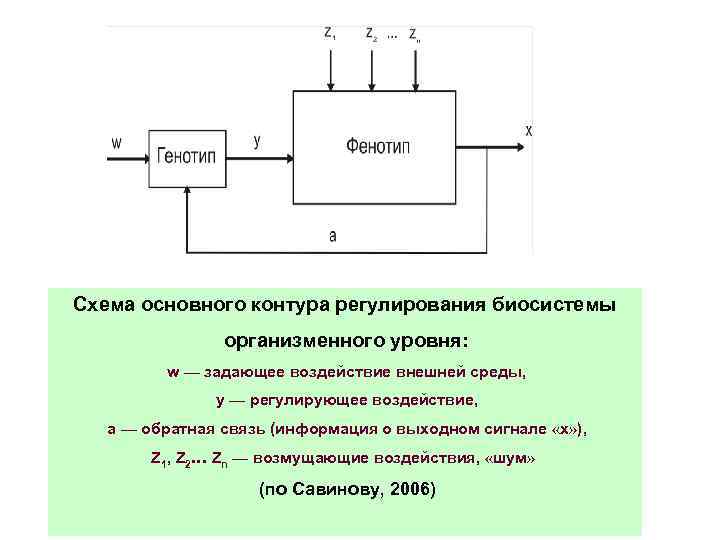 Функциональная схема контура регулирования