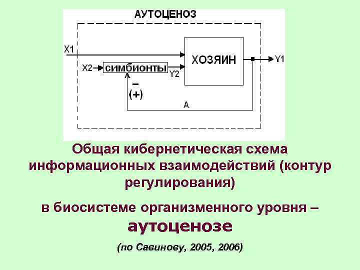 Кибернетическая модель системы. Кибернетическая модель управления. Кибернетическая модель системы управления. Кибернетическая схема.