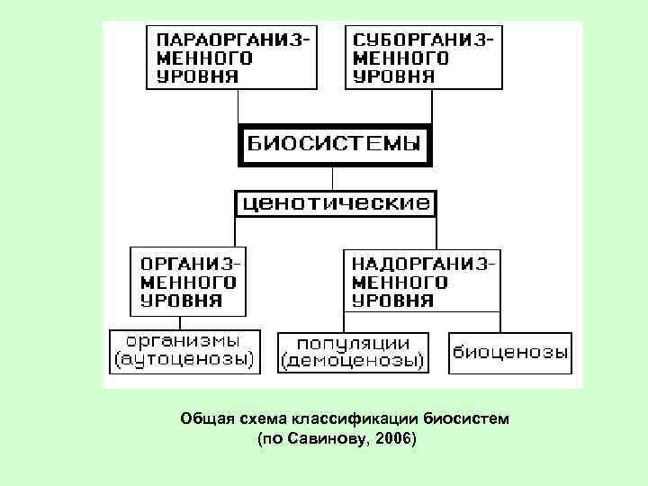  Общая схема классификации биосистем (по Савинову, 2006) 