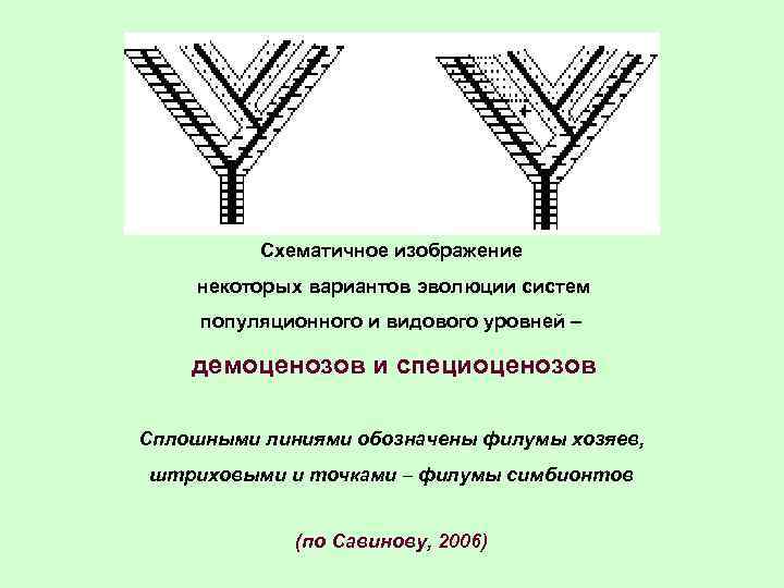 Схематичное изображение некоторых вариантов эволюции систем популяционного и видового уровней – демоценозов и специоценозов