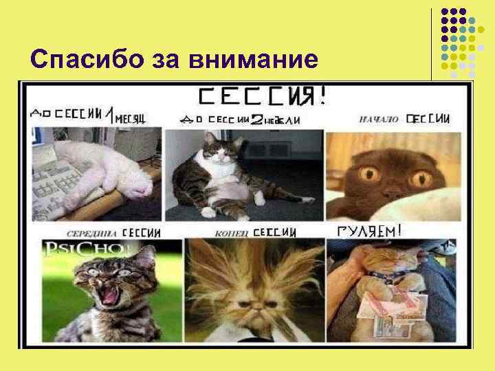 Спасибо за внимание 