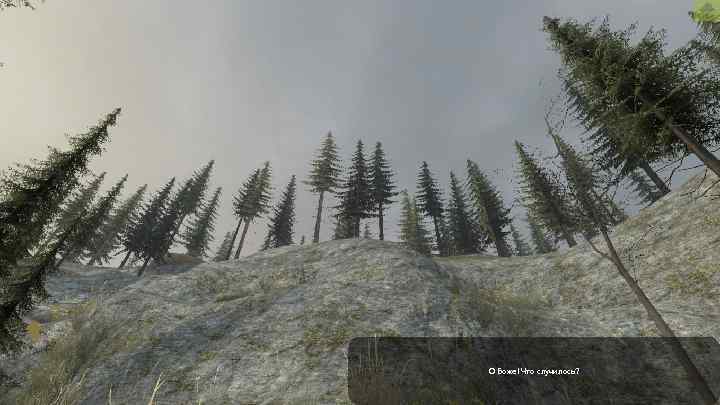 О Боже! Что случилось? 