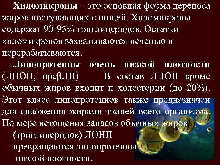 Хиломикроны – это основная форма переноса жиров поступающих с пищей. Хиломикроны содержат 90 -95%