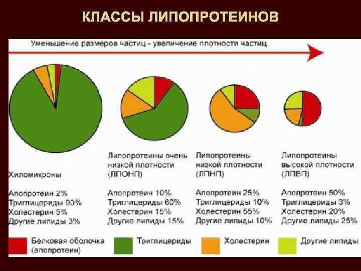 КЛАССЫ ЛИПОПРОТЕИНОВ 