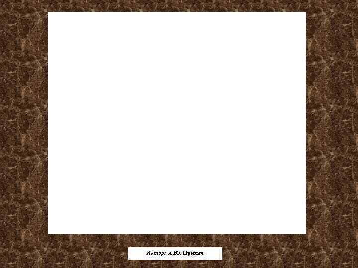 Автор: А. Ю. Прихач 