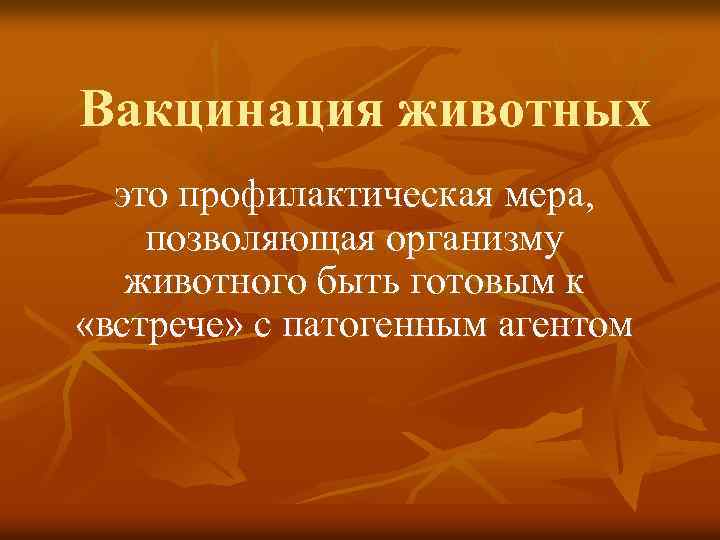 Вакцинация животных это профилактическая мера, позволяющая организму животного быть готовым к «встрече» с патогенным