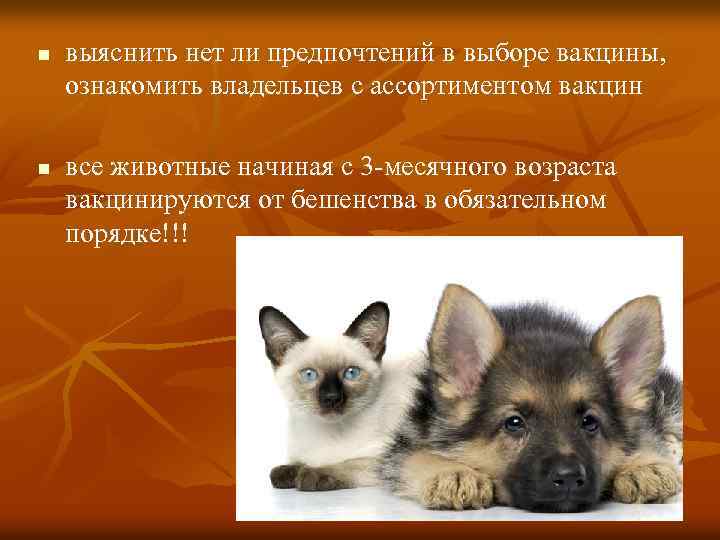 n n выяснить нет ли предпочтений в выборе вакцины, ознакомить владельцев с ассортиментом вакцин
