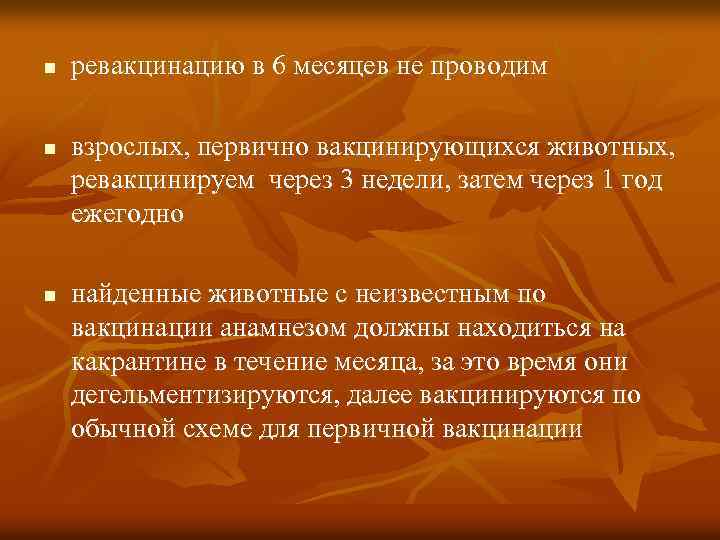 n n n ревакцинацию в 6 месяцев не проводим взрослых, первично вакцинирующихся животных, ревакцинируем
