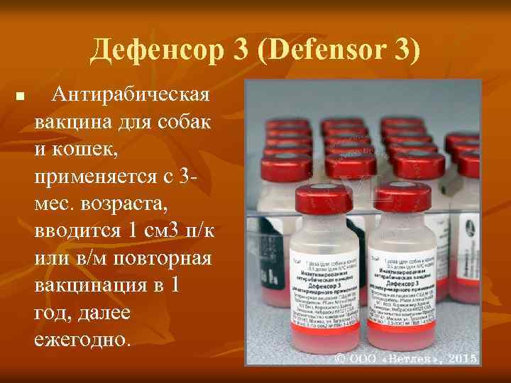 Дефенсор 3 (Defensor 3) n Антирабическая вакцина для собак и кошек, применяется с 3